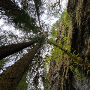 Meet your Posher, Lexi